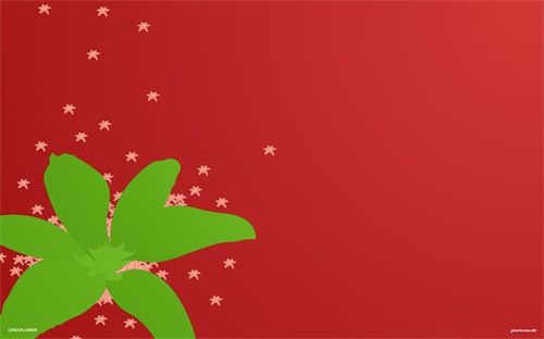 冬季女装长裙子新款图片，淘宝网ONLY冬季女装图片