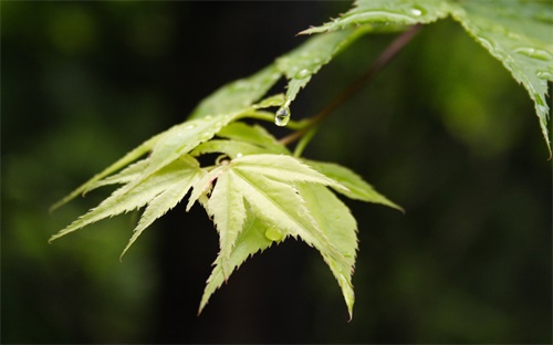 夏季女装有哪些品牌好，女装什么牌子的好